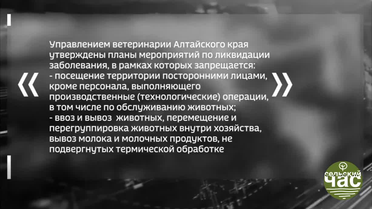 Сельский час, выпуск 301 &mdash; ЯЩУР ДЛЯ СЛУЖЕБНОГО ПОЛЬЗОВАНИЯ. ЗАЧЕМ СЖИГАЮТ СКОТ НАСЕЛЕНИЯ В СИБИРИ?