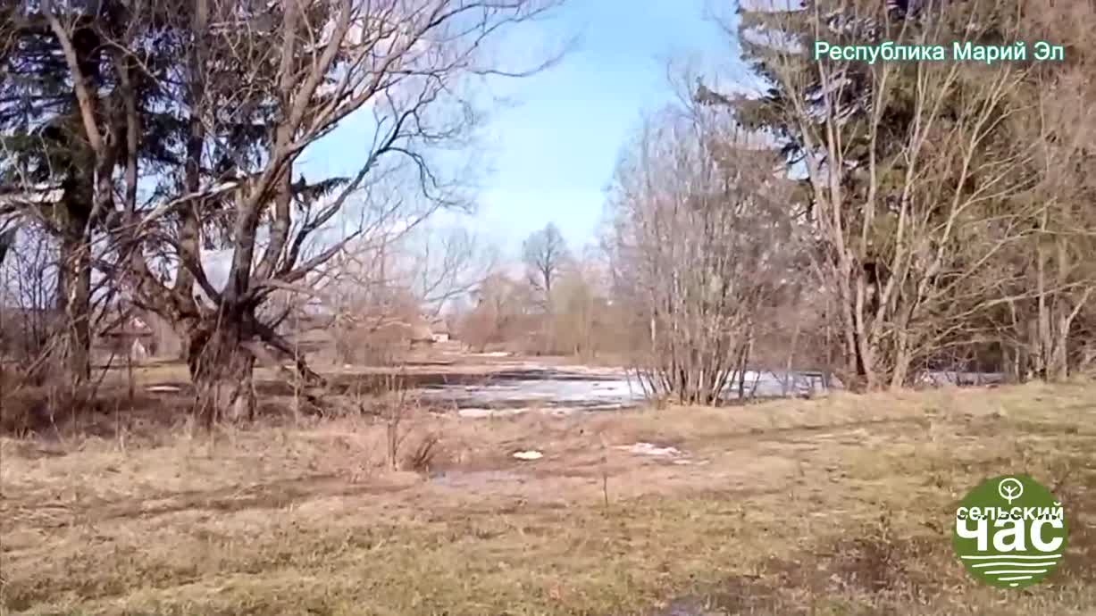 Сельский час, выпуск 308 &mdash; ПУСТОЙ ХЛЕВ &mdash; ПУСТАЯ СТРАНА. КУДА ВЕДЕТ АГРОПОЛИТИКА?