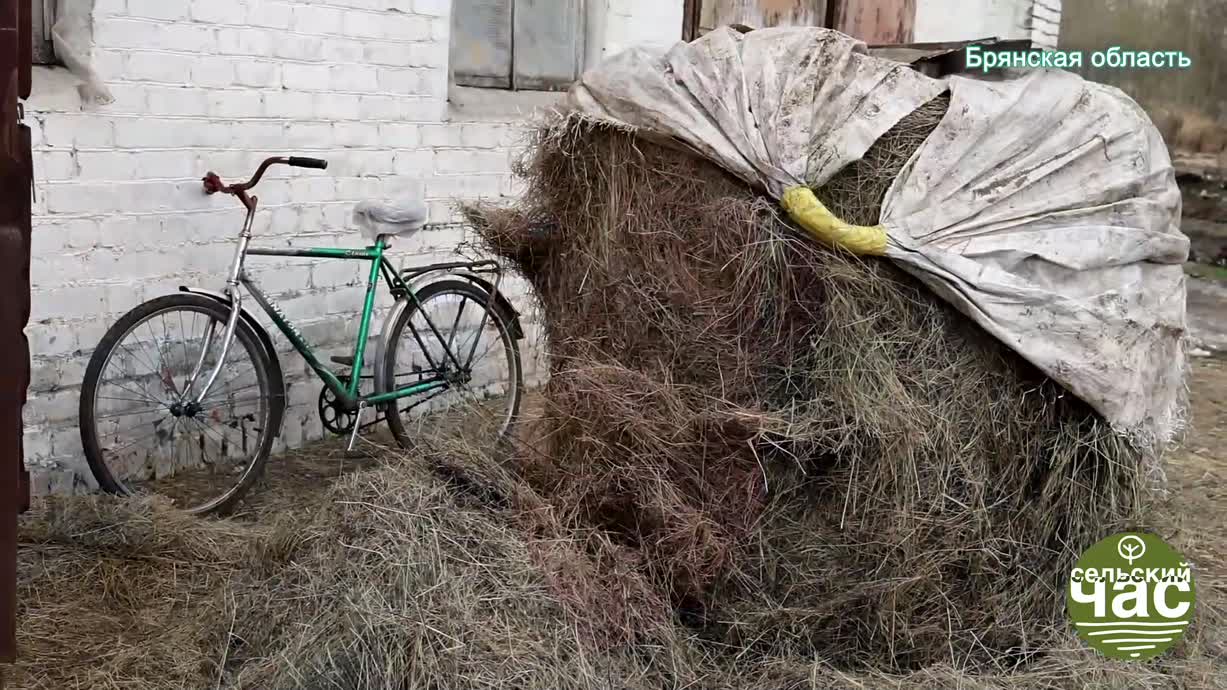 Сельский час, выпуск 305 - ГРАНТ - ДЕЛО УГОЛОВНОЕ. ЗА ЧТО ГУБЯТ ФЕРМЕРОВ