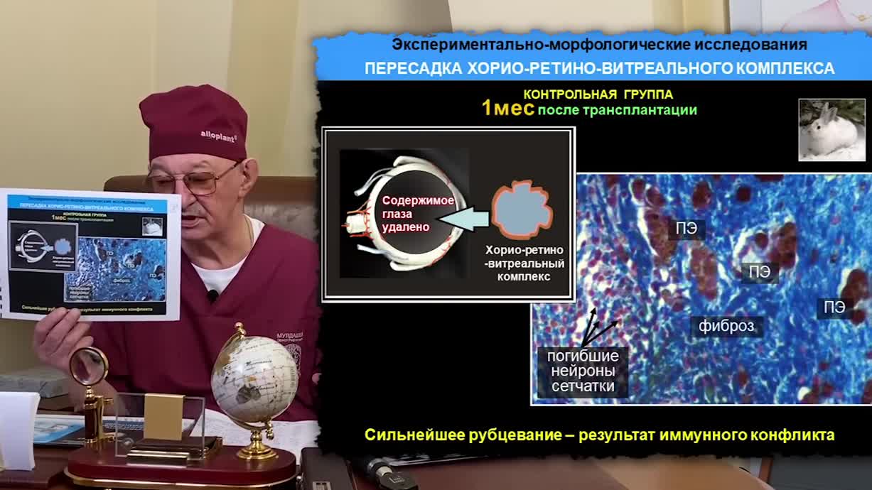 В поисках Города Богов. Часть 14. Эрнст Мулдашев