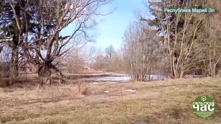 Сельский час, выпуск 308 &mdash; ПУСТОЙ ХЛЕВ &mdash; ПУСТАЯ СТРАНА. КУДА ВЕДЕТ АГРОПОЛИТИКА?