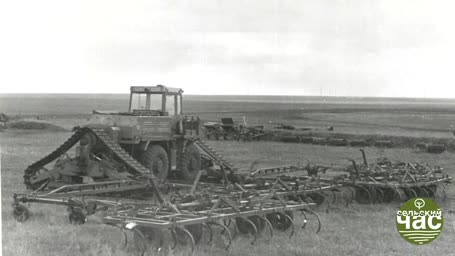 Сельский час, выпуск 295 &mdash; НОВОЕ ПЛАТЬЕ ЦАРИЦЫ ПОЛЕЙ. ИМЕЕМ МИЗЕР ПРИ ПЯТИ ТУЗАХ.