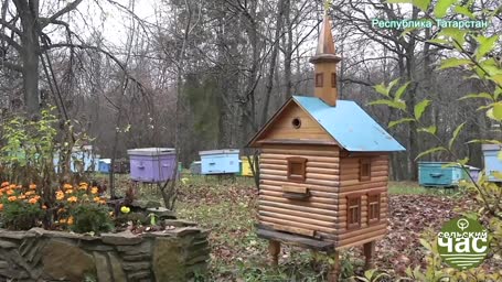 Сельский час, выпуск 285 - РАЗ-ДВА-ФГИС, ЭКСПОРТ ПОВИС! ВСЕ В УБЫТКАХ КРОМЕ МСХ