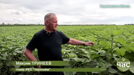 Сельский час, выпуск 320 - У МСХ В УХЕ БАНАН. СЛУШАТЬ, НО НЕ СЛЫШАТЬ - СТИЛЬ